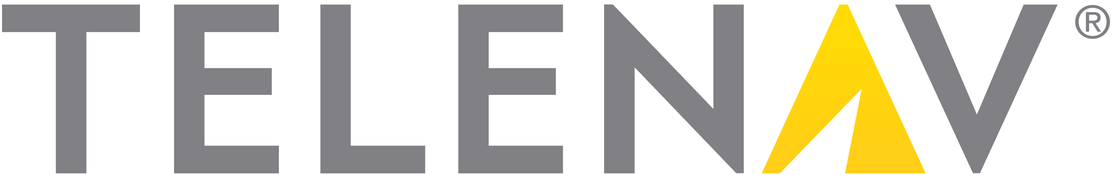 telenav svg.png